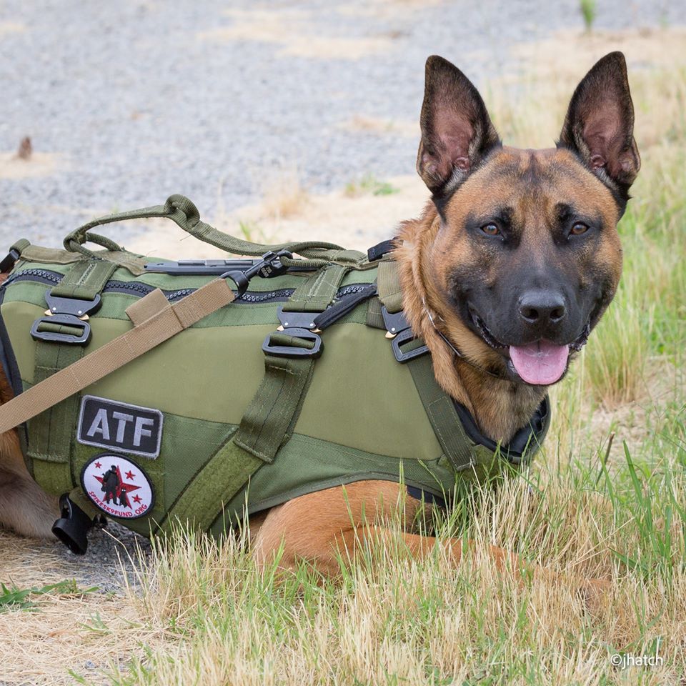 "Protect A K9" Package