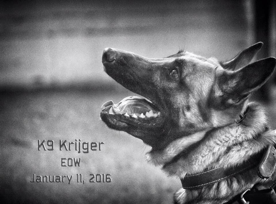 K9 Krijger Ballistic Vest Campaign