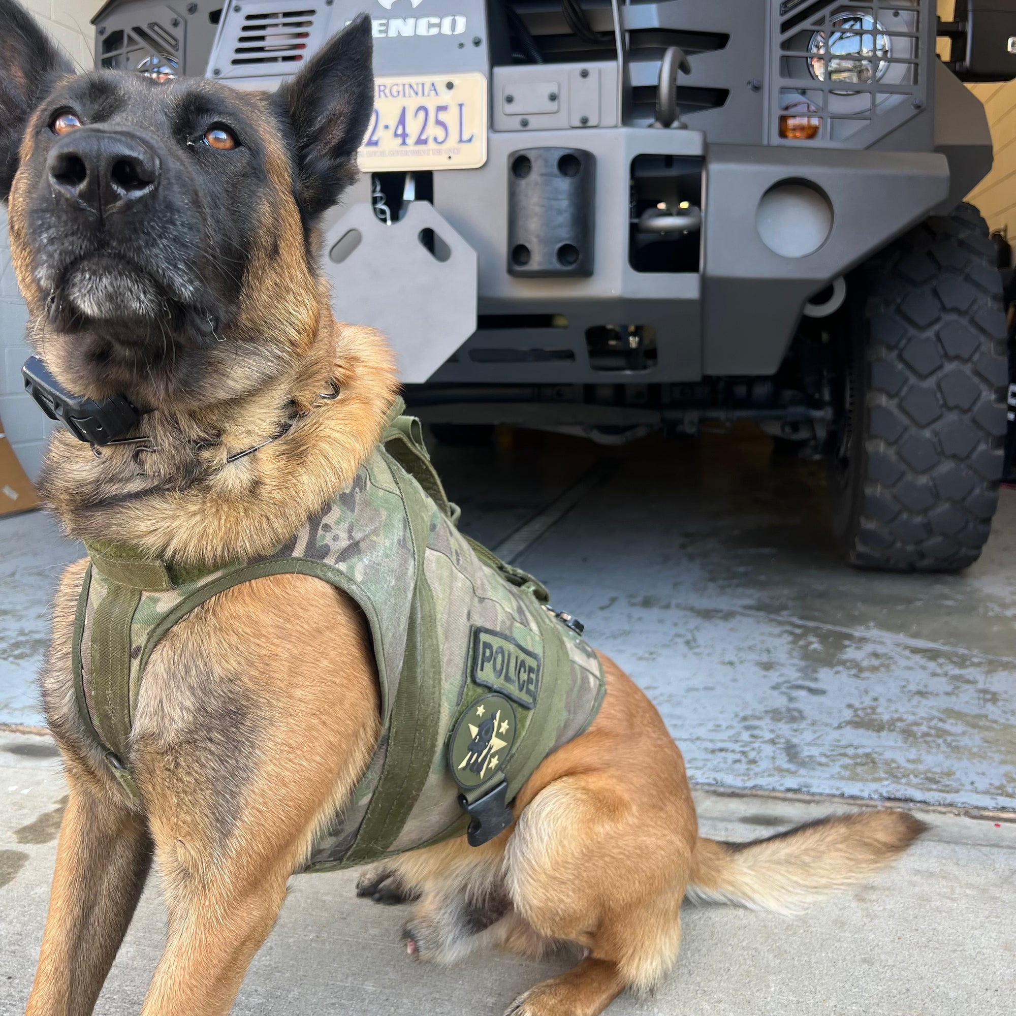 OG Logo PVC Patch - OD Green