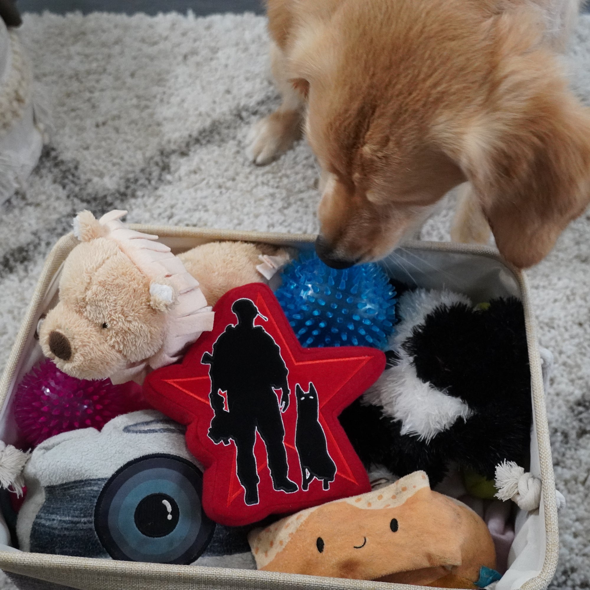 OG Logo Dog Toy
