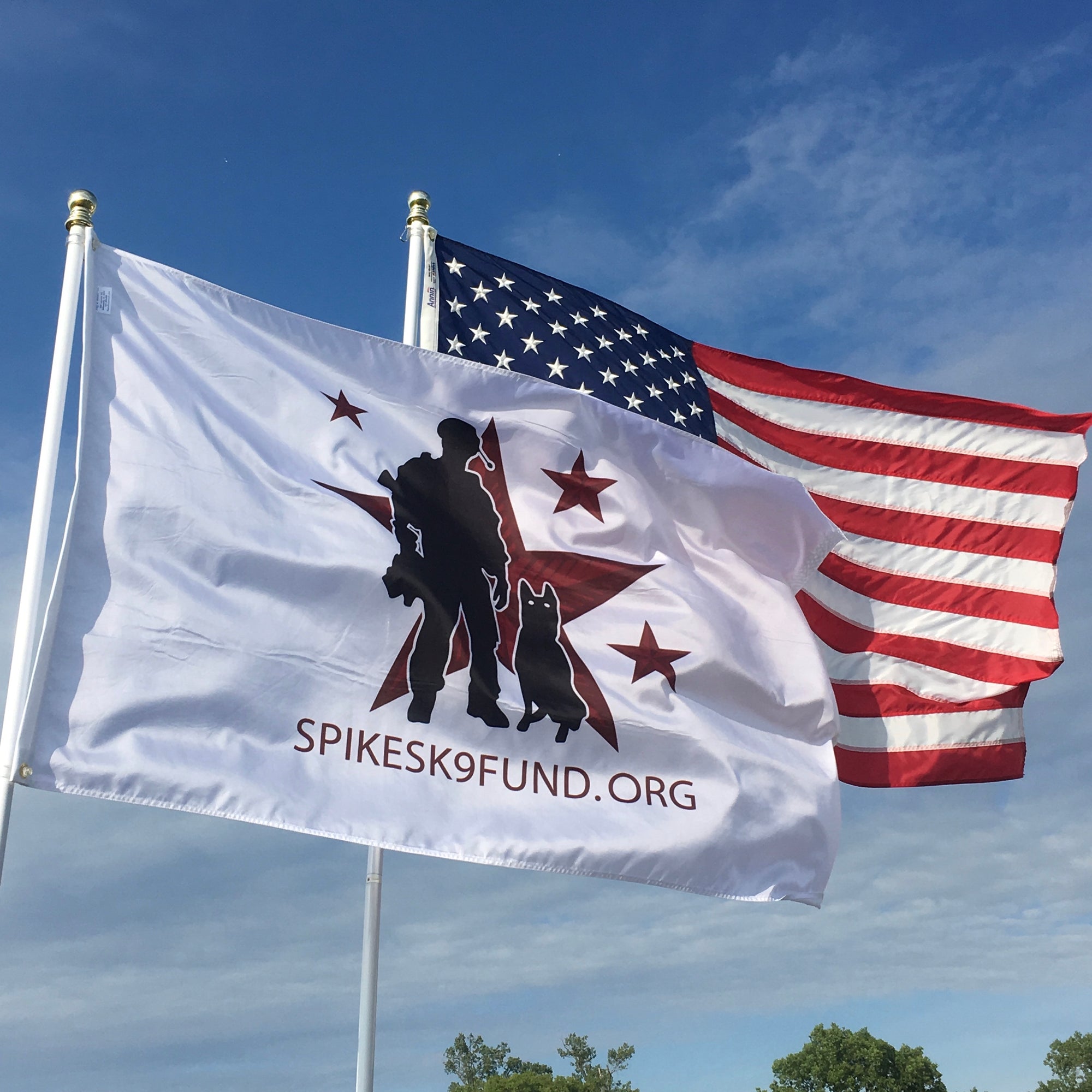 Spike's OG Logo Flag